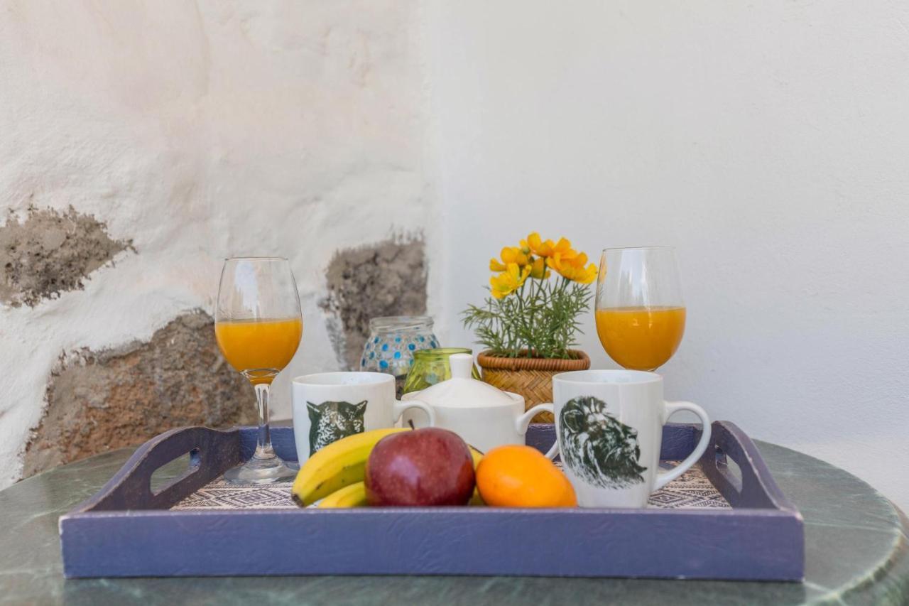 Eden Ecologico En Casa La Fuentita Daire El Charco  Dış mekan fotoğraf