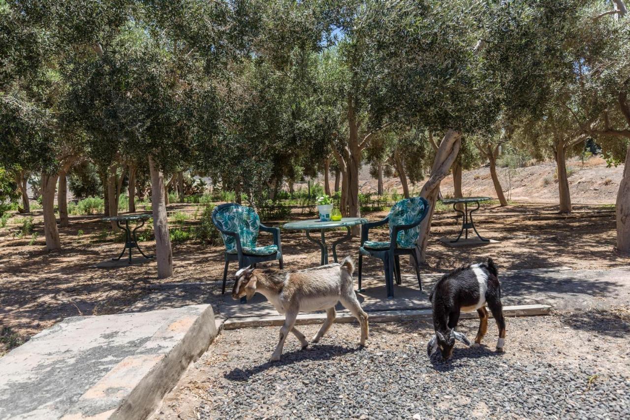 Eden Ecologico En Casa La Fuentita Daire El Charco  Dış mekan fotoğraf